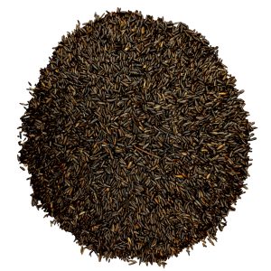 Premium Nyjer Thistle Seed