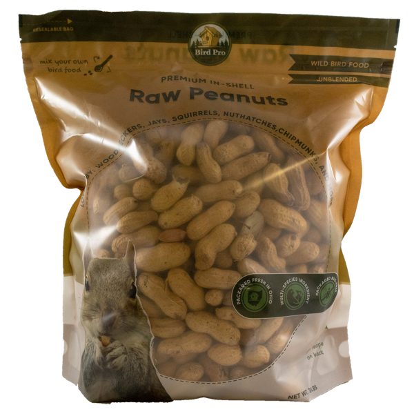 In Shell Peanuts - Image 2